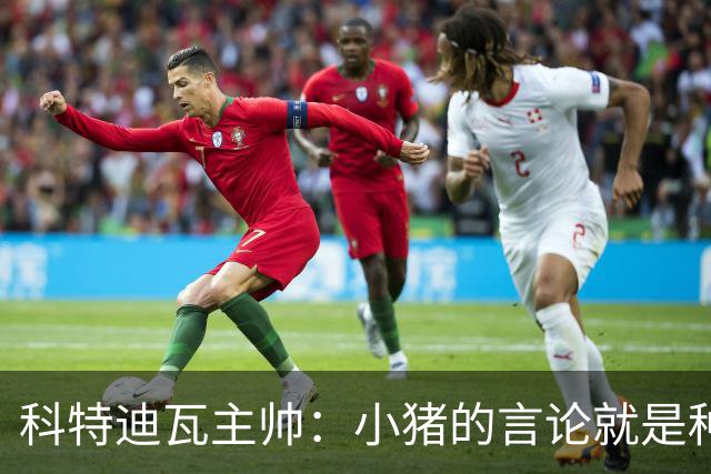 科特迪瓦主帅：小猪的言论就是种族歧视，可能是退役后想博流量吧